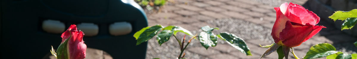 Timberhill Place Community Garden